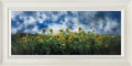 A Sea of Sunflowers