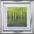 Birches and Bluebells