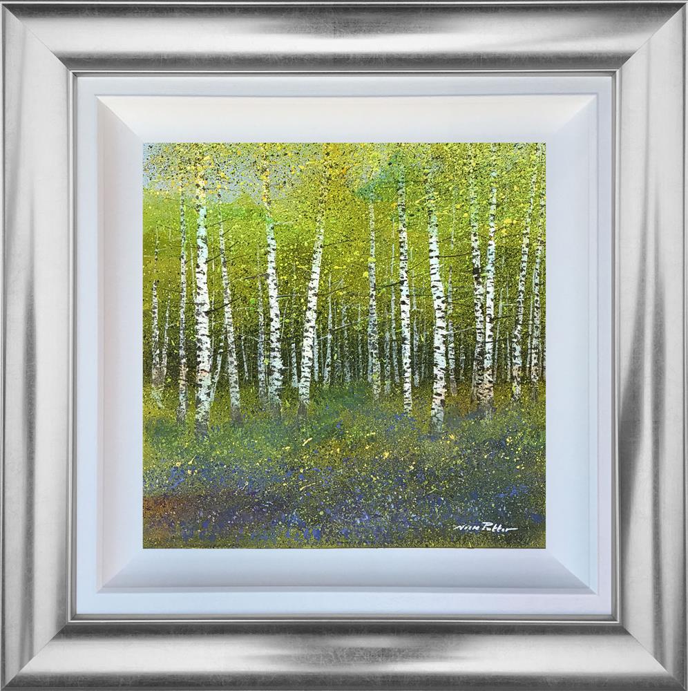 Birches and Bluebells