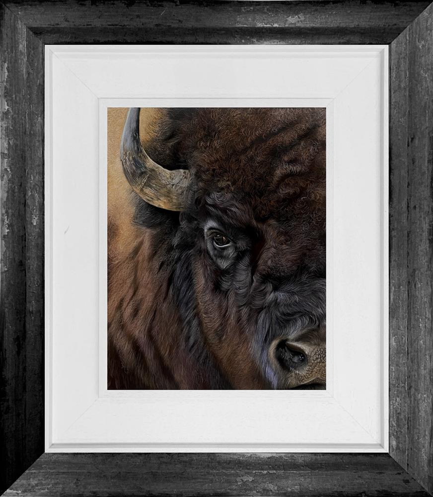 Bison