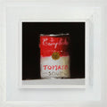 Campbells Soup