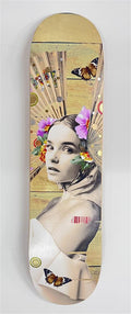 Cola - Single Deck