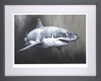 Carcharodon Carcharias by Dean Martin