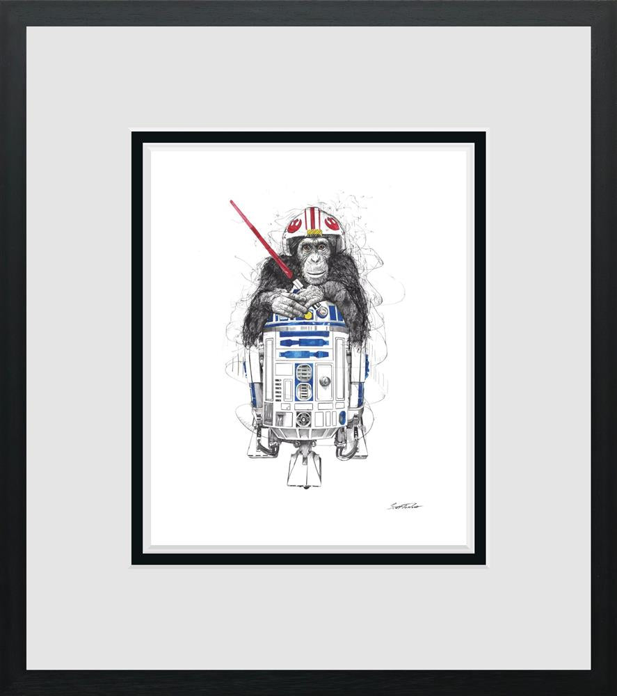 Feel The Force - Miniature