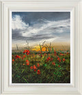 Field Of Tender Dream
