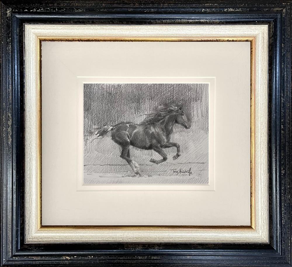 Fire Horse - Study