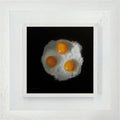 Fried Eggs
