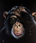 George Chimp by Bryn Sutcliffe