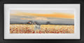 Into the field by John Horsewell