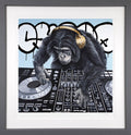 Jungle Nights & Swinging Beats Limited Edition by Dean Martin