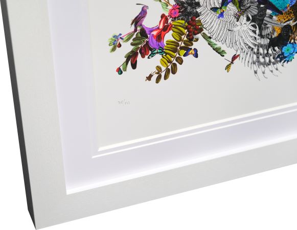 Pafugla Straumur - Art Print by Kristjana S Williams