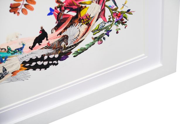 Pafugla Straumur - Art Print by Kristjana S Williams