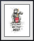 Life, Just Not That Deep