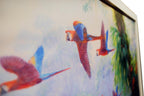 parrots-by-kim-woods- original-art-for-sale