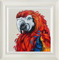 Polly