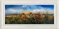 Poppies In The Golden Light