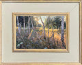 SIlver Birch
