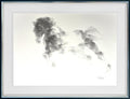 Silent Gallop