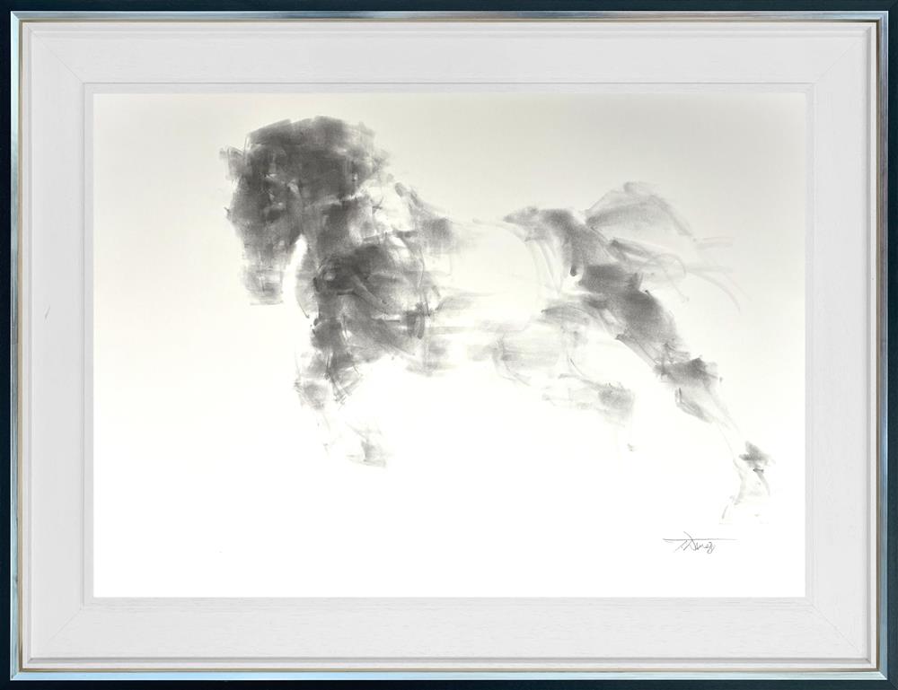 Silent Gallop