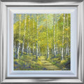 Spring Birches