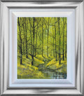 Spring Morning on the Stream