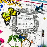 TAERA BRETLAND - BLAEU BRITISH ISLES by Kristjana Williams