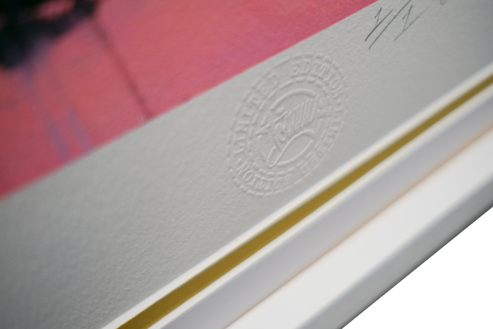 Flamingo and Orb Limited Edition by Tommy Fiendish