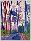 Walking In Colour