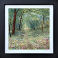 Wildflowers Light Up The Path