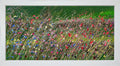 Wildflowers On The Way To SnowshilI