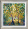 Young Birch Trees