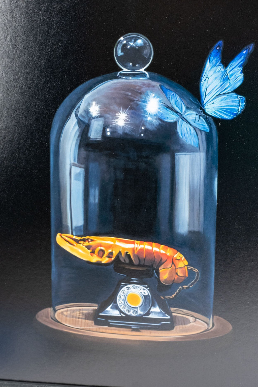 DALI By Zoe Moss
