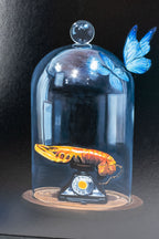 DALI By Zoe Moss