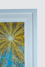Enlightenment Strip by Sophia Chalklen