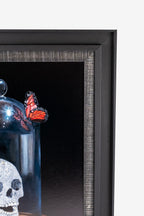 HIRST By Zoe Moss