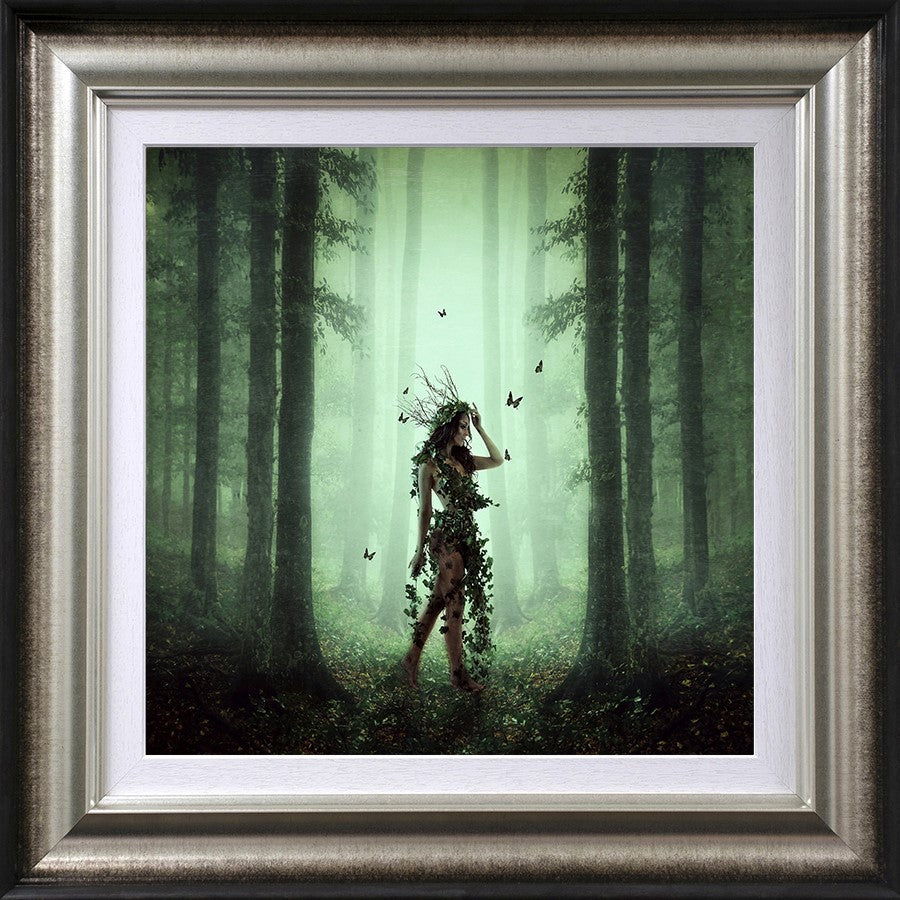 Ivy by Michelle Mackie