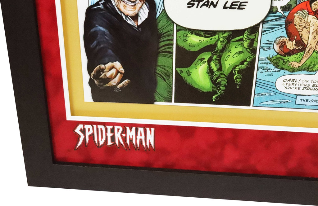Spiderman Comic Signed by Stan Lee Framed Display