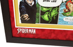Spiderman Comic Signed by Stan Lee Framed Display