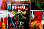 Spiderman Comic Signed by Stan Lee Framed Display 