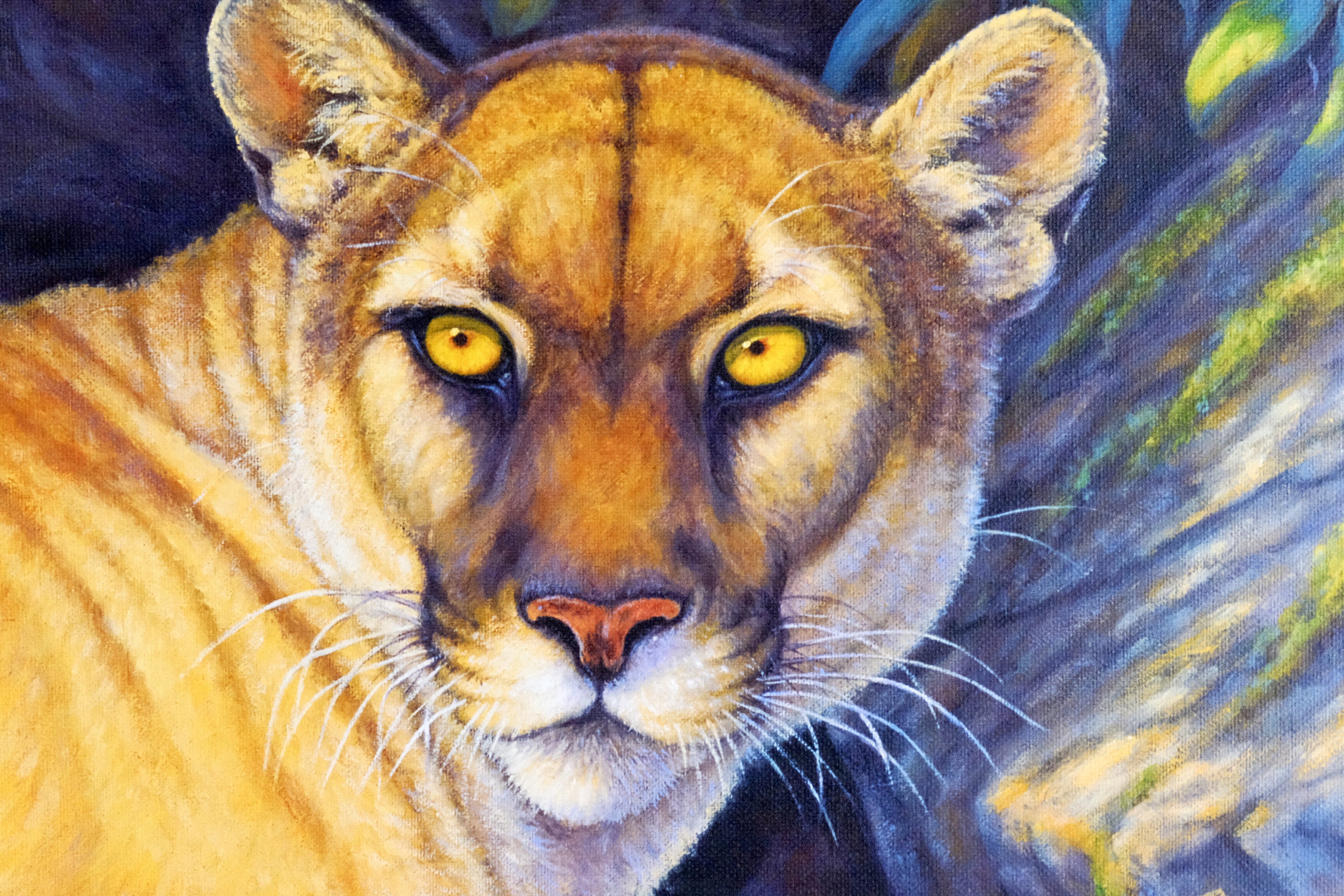 Vigilant Puma by Kim Brooks