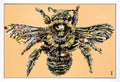 Nectar-by-chess-artist